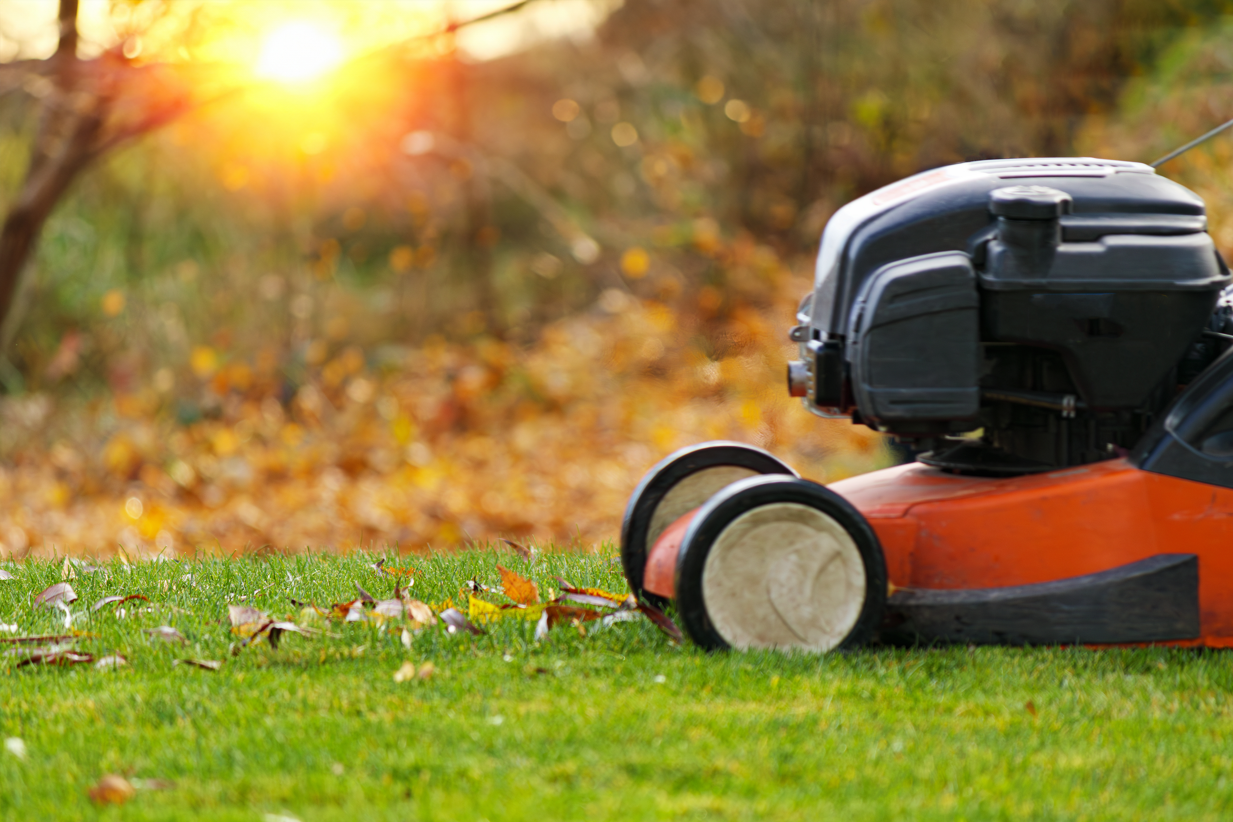 lawn mower